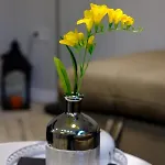 The Olive House - Center - Free Parking Burgas City