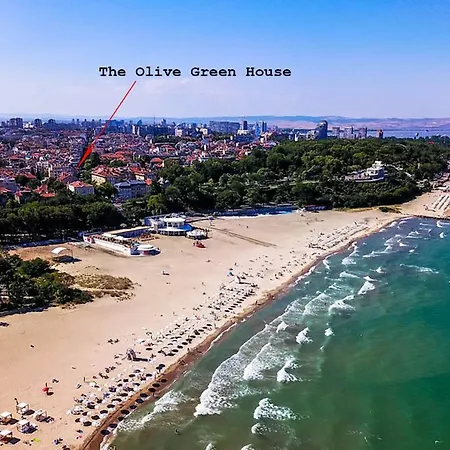 The Olive House - Center - Free Parking Apartmán *