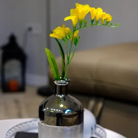 The Olive House - Center - Free Parking ブルガス